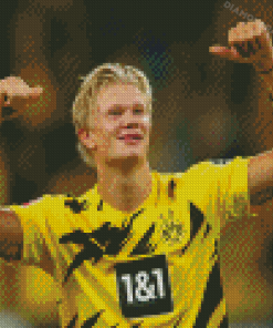 Player Erling Haaland Diamond Paintings