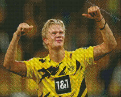 Player Erling Haaland Diamond Paintings