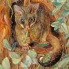 Possum Up A Gum Tree Marianne North Diamond Paintings