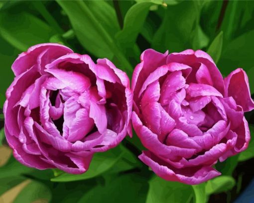 Purple Peony Tulip Flowers Diamond Paintings