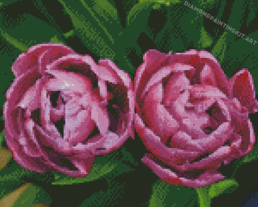 Purple Peony Tulip Flowers Diamond Paintings