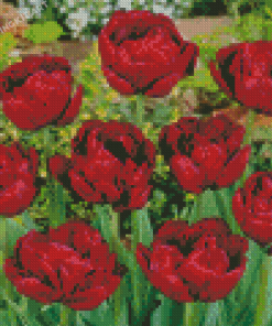 Red Peony Tulip Flowers Diamond Paintings