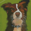 Red And White Border Collie Dog Animal Diamond Paintings