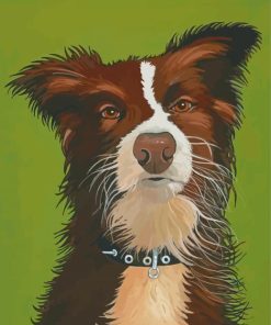 Red And White Border Collie Dog Animal Diamond Paintings