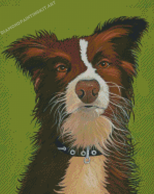 Red And White Border Collie Dog Animal Diamond Paintings