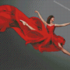 Red Ballet Diamond Paintings