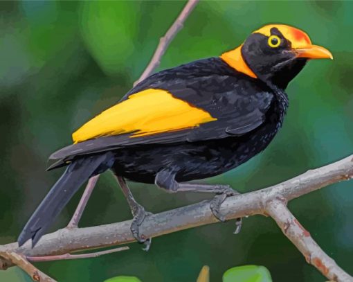 Regent Bowerbird Diamond Paintings