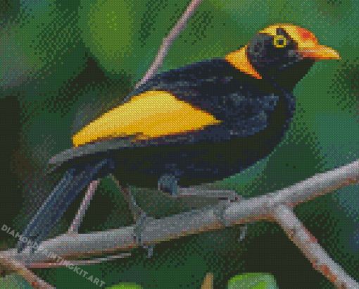 Regent Bowerbird Diamond Paintings