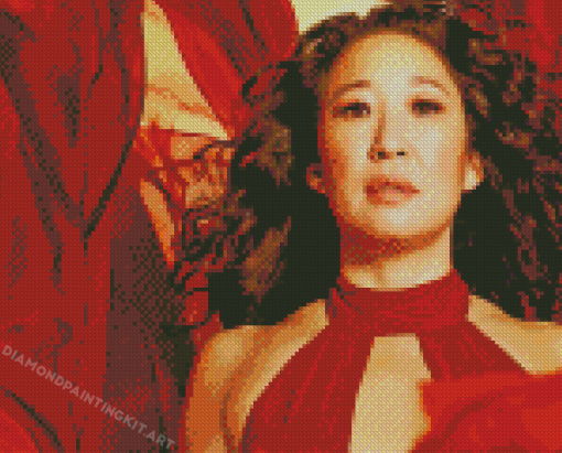 Sandra Oh Diamond Paintings