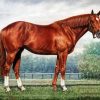 Secretariat Horse Diamond Paintings