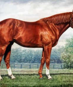 Secretariat Horse Diamond Paintings