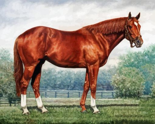 Secretariat Horse Diamond Paintings