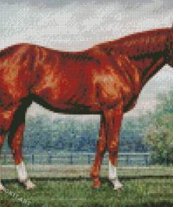 Secretariat Horse Diamond Paintings