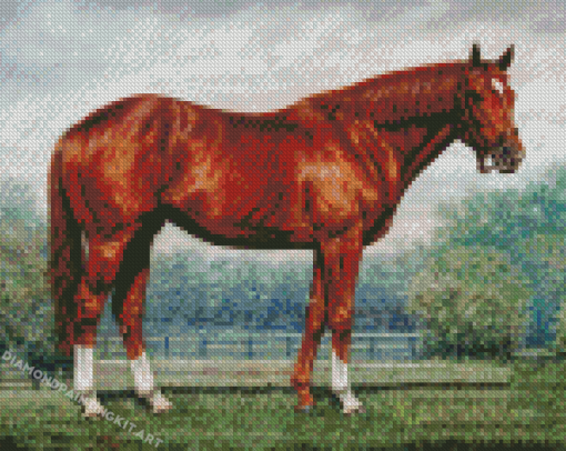 Secretariat Horse Diamond Paintings