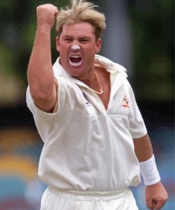 Shane Warne Sport Player Diamond Paintings