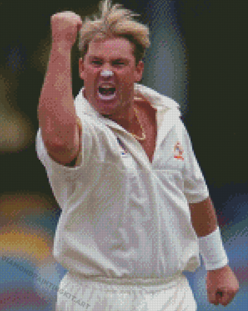 Shane Warne Sport Player Diamond Paintings