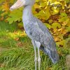 Shoebill Bird Diamond Paintings