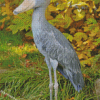 Shoebill Bird Diamond Paintings