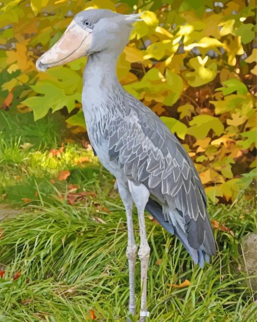 Shoebill Bird Diamond Paintings