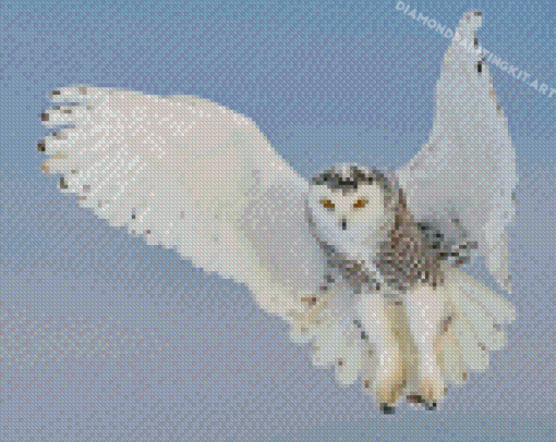 Snowy Owl Diamond Paintings