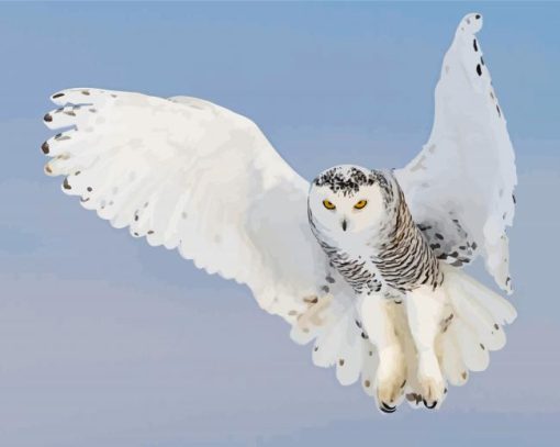 Snowy Owl Diamond Paintings