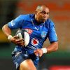 South African Rugby Union Player Cornal Hendricks Diamond Paintings