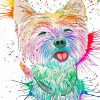 Splatter Colourful Westie Dog Diamond Paintings