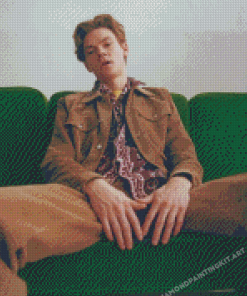 Stylish Thomas Brodie Sangster Diamond Paintings