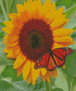 Sunflower Butterfly Diamond Paintings