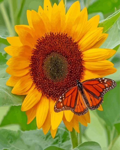 Sunflower Butterfly Diamond Paintings