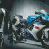 Suzuki Gsxr Driver Diamond Paintings