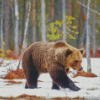 Swedish Brown Bear In Snow Diamond Paintings