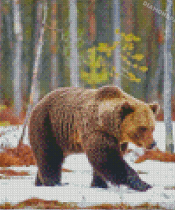 Swedish Brown Bear In Snow Diamond Paintings