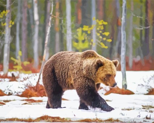 Swedish Brown Bear In Snow Diamond Paintings