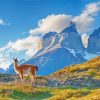 The Andes Mountains Argentina Diamond Paintings