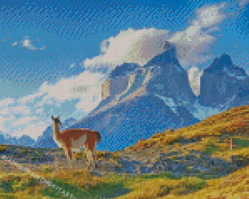 The Andes Mountains Argentina Diamond Paintings