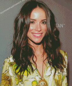 The Beautiful Abigail Spencer Diamond Paintings