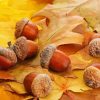 The Fall Leaves And Acorns Diamond Paintings