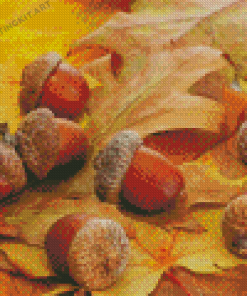 The Fall Leaves And Acorns Diamond Paintings