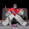 The Hockey Goalie Diamond Paintings