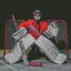 The Hockey Goalie Diamond Paintings