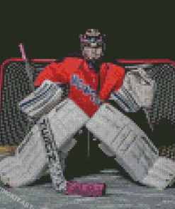 The Hockey Goalie Diamond Paintings