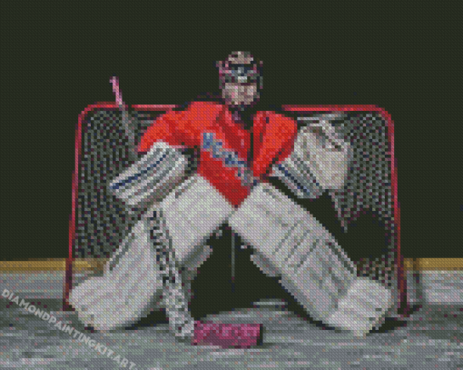 The Hockey Goalie Diamond Paintings