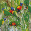 The Lorikeets Birds Diamond Paintings