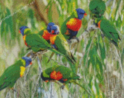 The Lorikeets Birds Diamond Paintings