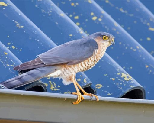 The Sparrowhawk Diamond Paintings