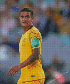 Tim Cahill Diamond Paintings