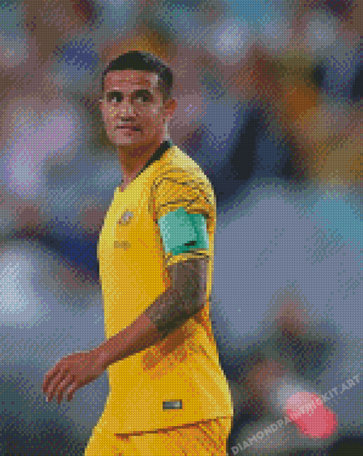 Tim Cahill Diamond Paintings