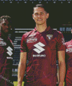 Torino Fc Football Team Diamond Paintings