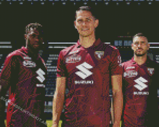 Torino Fc Football Team Diamond Paintings